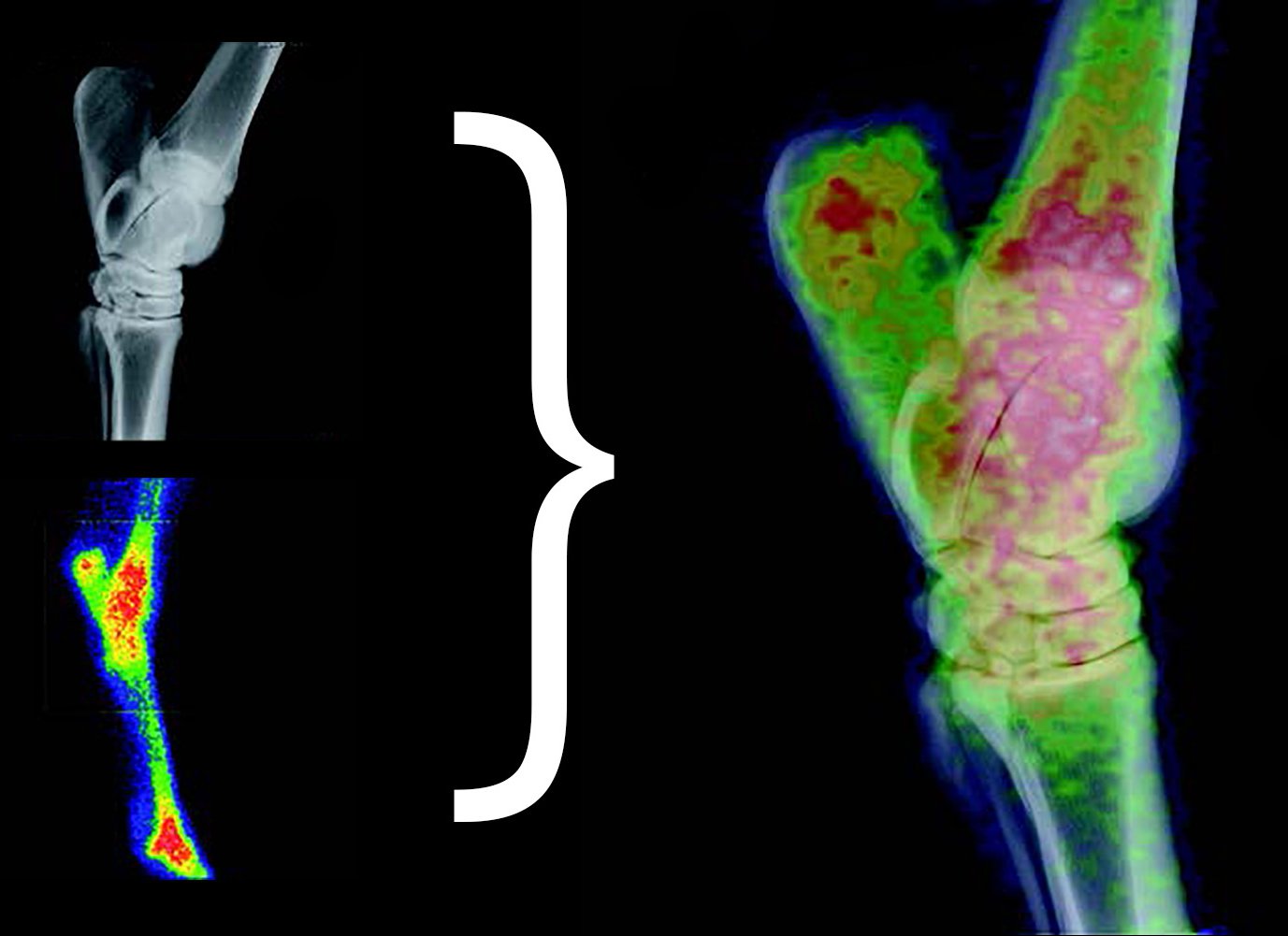 imagefusion-3-result-3