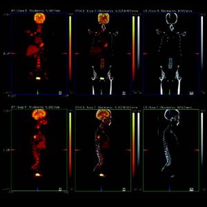 fusion x – default