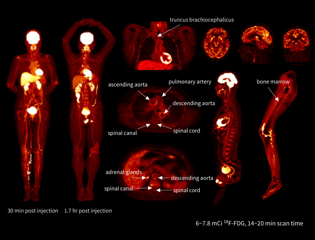 uEXPLORER_Feature4-1 EN