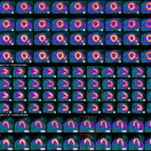 pet-software-default