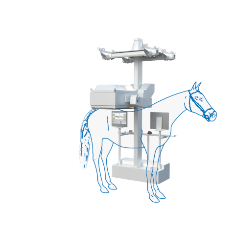 equine-scanner-hr-anwendung-beispiel-02