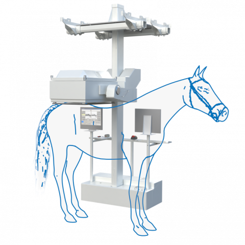 equine-scanner-hr-anwendung-beispiel-02