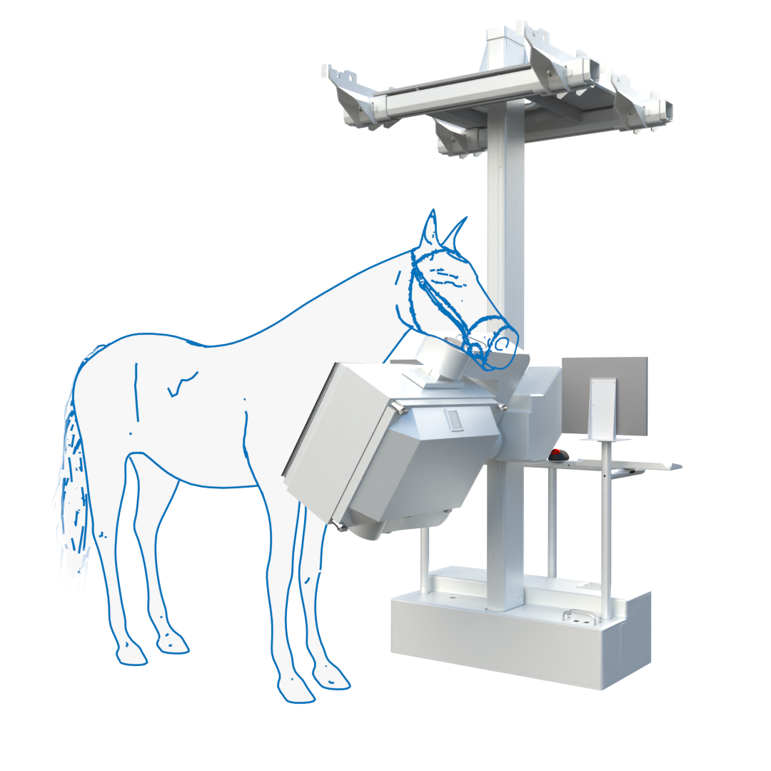 equine-scanner-hr-anwendung-beispiel-03